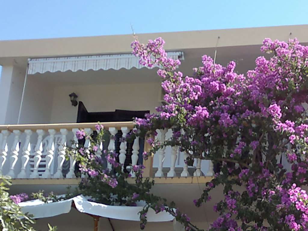 Apartmani Šimunić - 